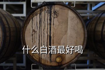 什么白酒最好喝