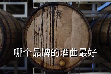 哪个品牌的酒曲最好