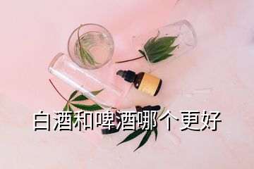 白酒和啤酒哪个更好