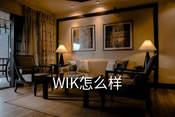 WIK怎么样