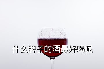 什么牌子的酒最好喝呢