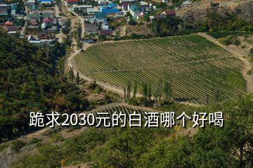 跪求2030元的白酒哪个好喝