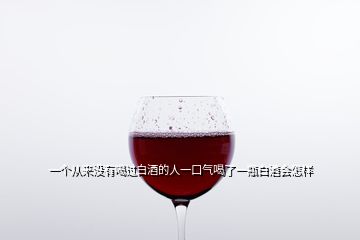 一个从来没有喝过白酒的人一口气喝了一瓶白酒会怎样