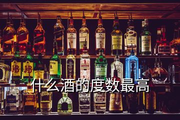 什么酒的度数最高