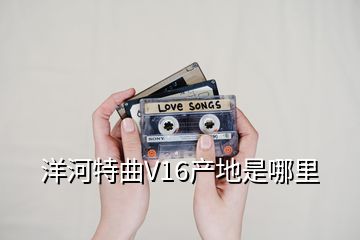 洋河特曲V16产地是哪里