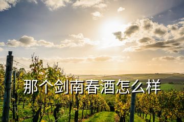 那个剑南春酒怎么样