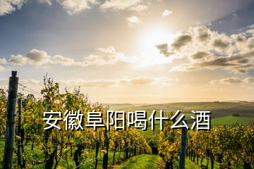 安徽阜阳喝什么酒