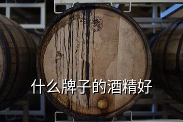 什么牌子的酒精好