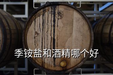 季铵盐和酒精哪个好