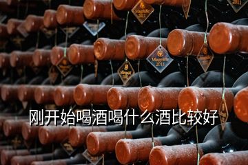 刚开始喝酒喝什么酒比较好