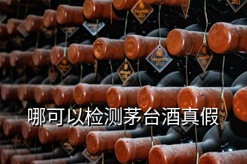 哪可以检测茅台酒真假