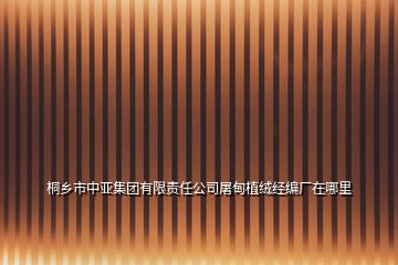 桐乡市中亚集团有限责任公司屠甸植绒经编厂在哪里