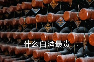 什么白酒最贵