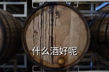 什么酒好呢