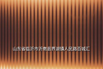 山东省临沂市沂南县界湖镇人民路百城汇