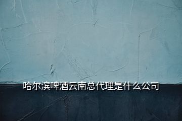 哈尔滨啤酒云南总代理是什么公司