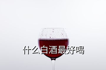 什么白酒最好喝