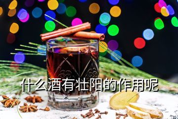 什么酒有壮阳的作用呢