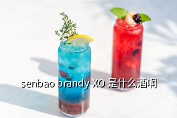 senbao brandy XO 是什么酒啊