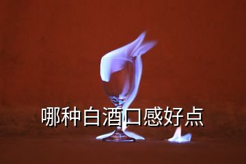 哪种白酒口感好点