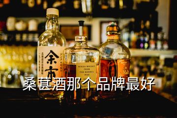 桑葚酒那个品牌最好