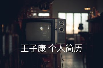 王子康 个人简历