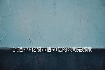 流通376亿股市值60亿的公司是哪家