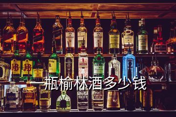 一瓶榆林酒多少钱