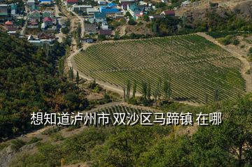 想知道泸州市 双沙区马蹄镇 在哪