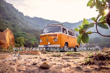 摩托车三轮不知道那条线路短路启动后油门自动增大的吓人求