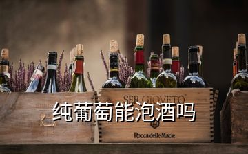 纯葡萄能泡酒吗