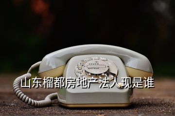 山东榴都房地产法人现是谁