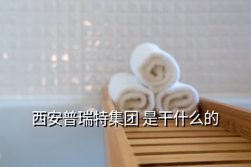 西安普瑞特集团 是干什么的