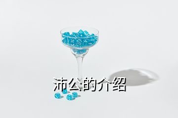 沛公的介绍