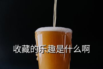 收藏的乐趣是什么啊