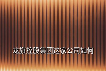 龙旗控股集团这家公司如何