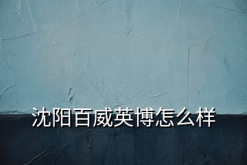 沈阳百威英博怎么样