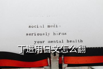 丁进用日文怎么翻