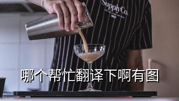 哪个帮忙翻译下啊有图