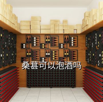 桑葚可以泡酒吗