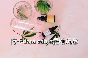 博卡data cable是啥玩意