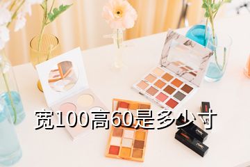 宽100高60是多少寸