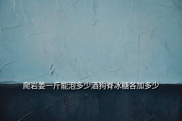 爬岩姜一斤能泡多少酒狗脊冰糖各加多少