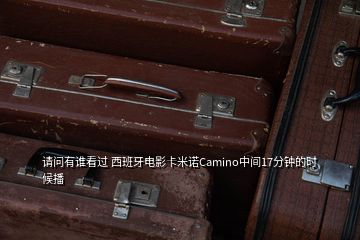 请问有谁看过 西班牙电影卡米诺Camino中间17分钟的时候播