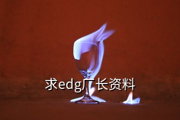 求edg厂长资料