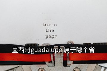 墨西哥guadalupe 属于哪个省