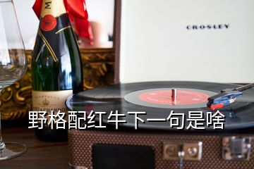 野格配红牛下一句是啥