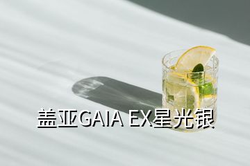 盖亚GAIA EX星光银