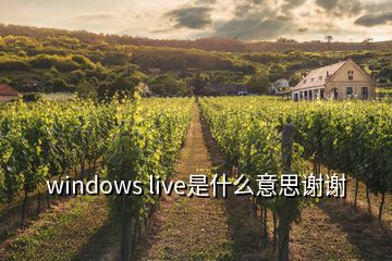 windows live是什么意思谢谢