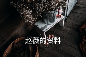 赵薇的资料